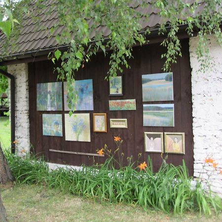 Gospodarstwo Agroturystyczno-Edukacyjne Gratka Celiny (Gmina Rakow, Kielce) Exterior foto