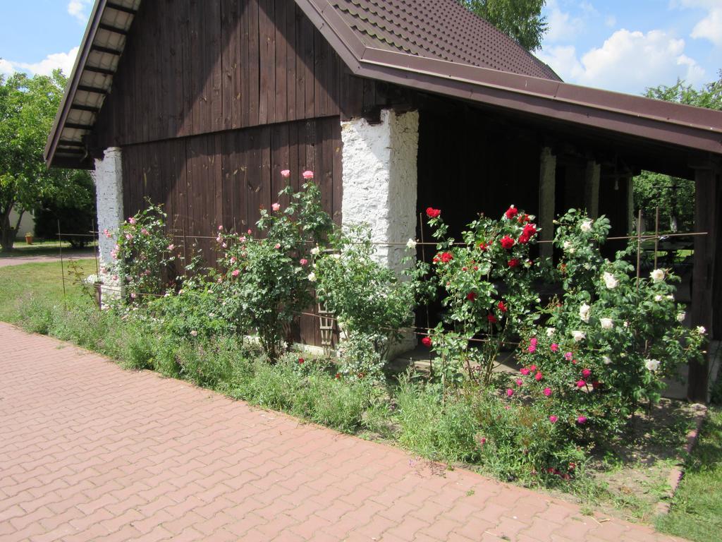 Gospodarstwo Agroturystyczno-Edukacyjne Gratka Celiny (Gmina Rakow, Kielce) Exterior foto