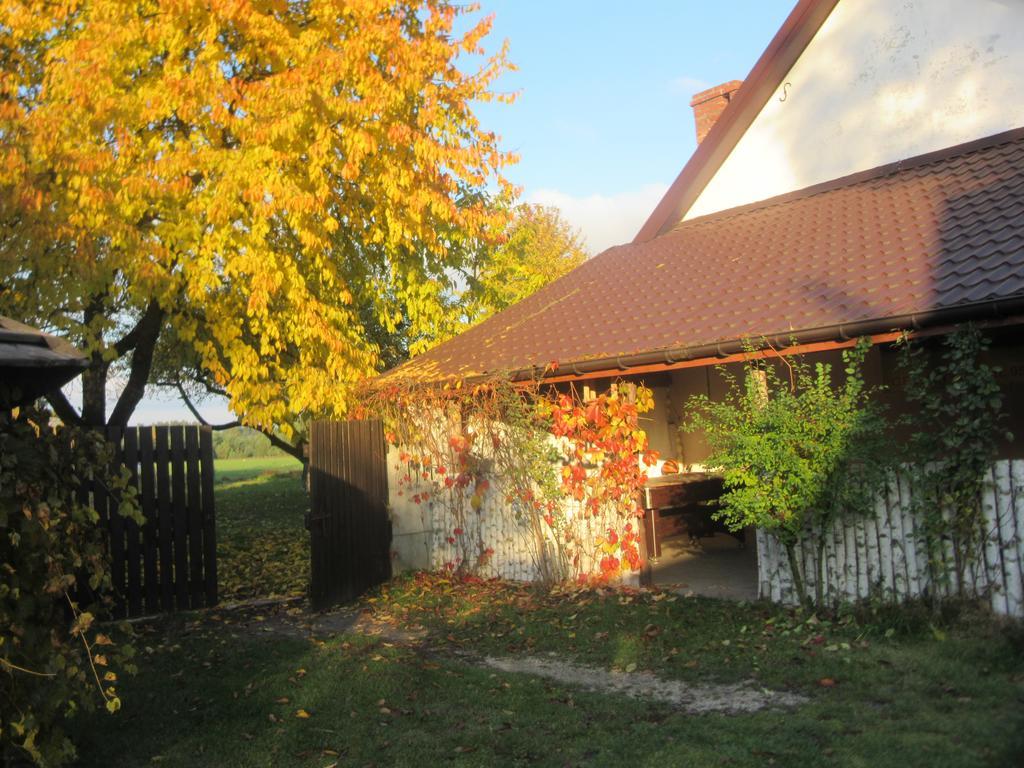 Gospodarstwo Agroturystyczno-Edukacyjne Gratka Celiny (Gmina Rakow, Kielce) Exterior foto